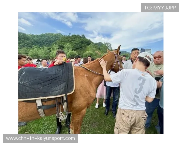草原骑马表演赛，传统文化与运动融为一体，草原骑马比赛